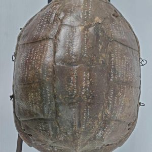 Ron Pippin: "Turtle with Beak" – Monumental Mixed-Media Assemblage (32")